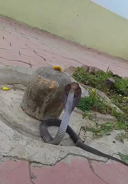 @Mr.Abhimanyu__s_01