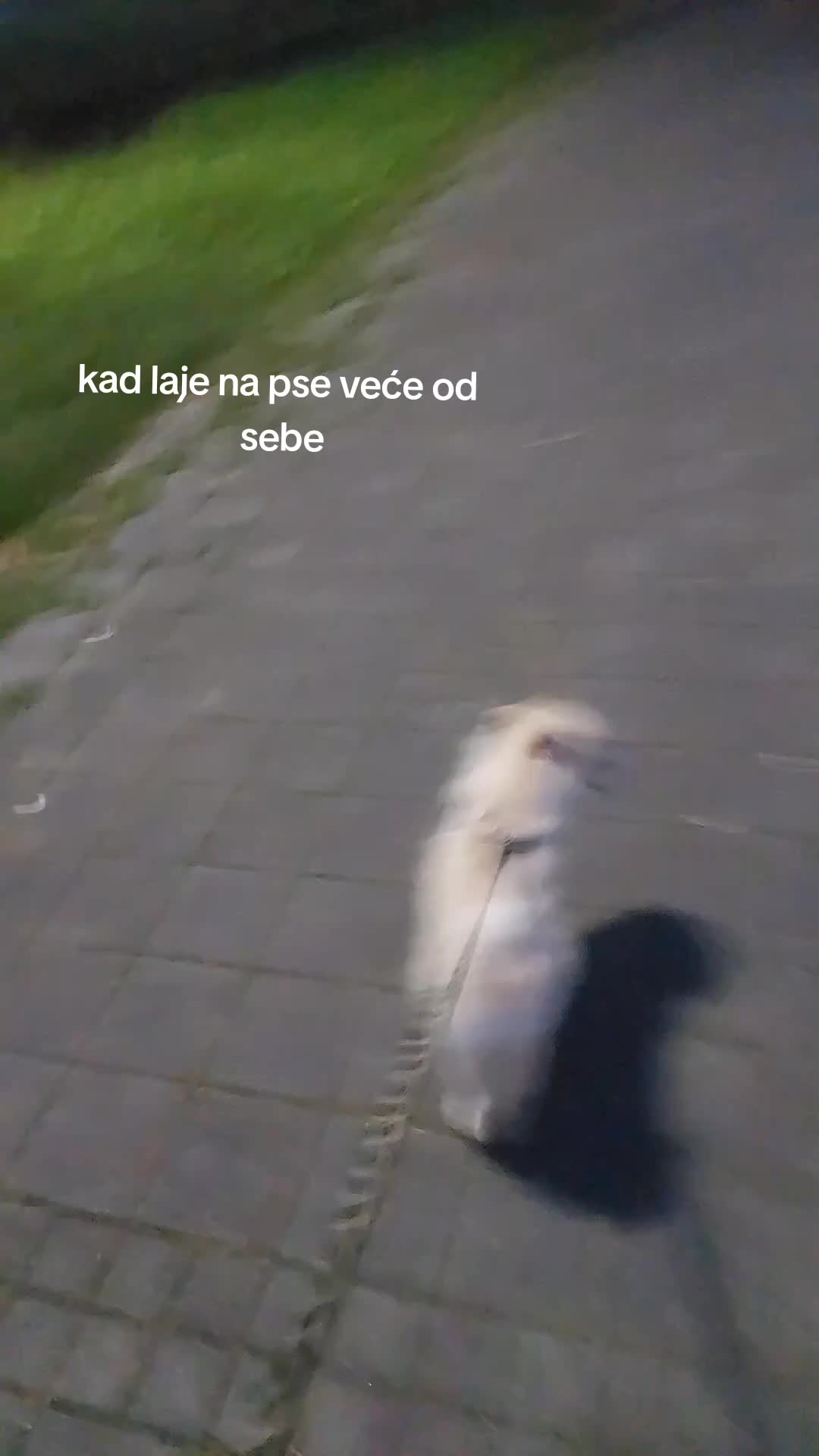 @🫶🏼