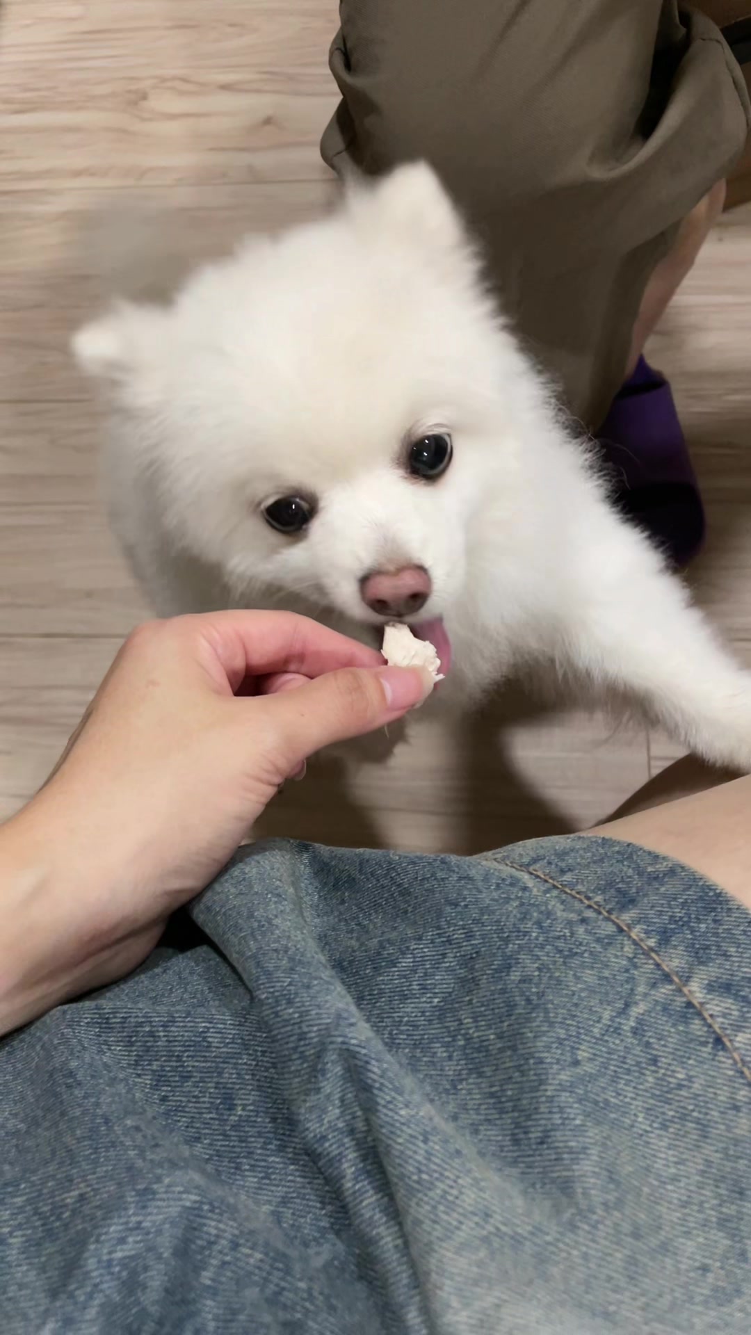 @violet.hsu_0930