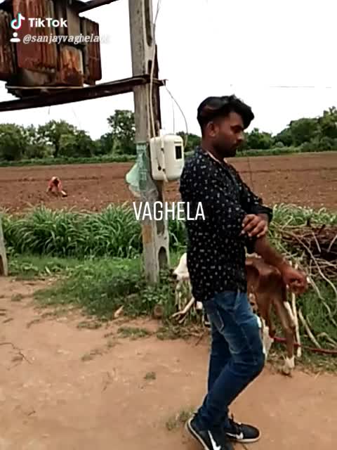 @Sanjay Vaghela
