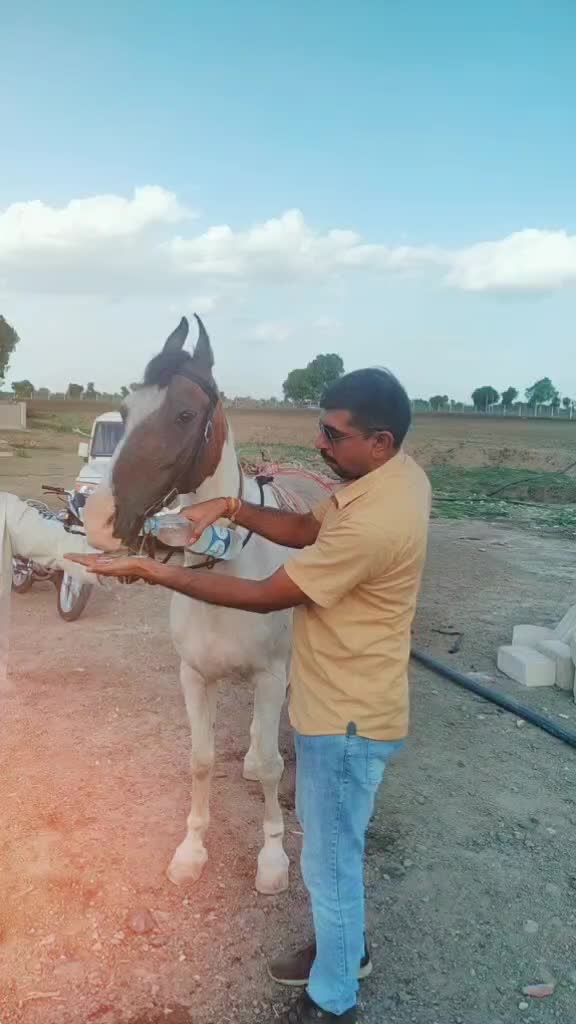 @Dhaval JaNi