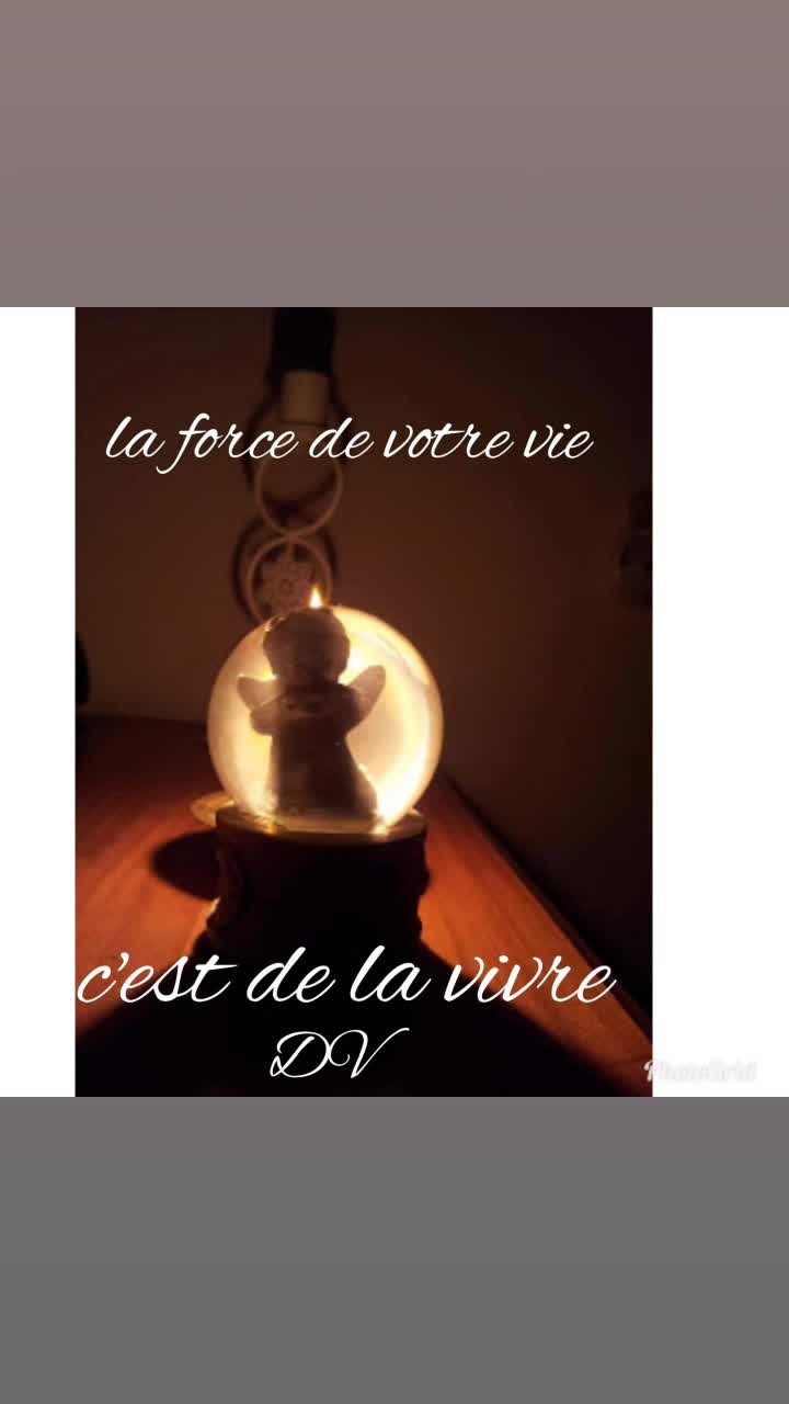 @danielverardo439