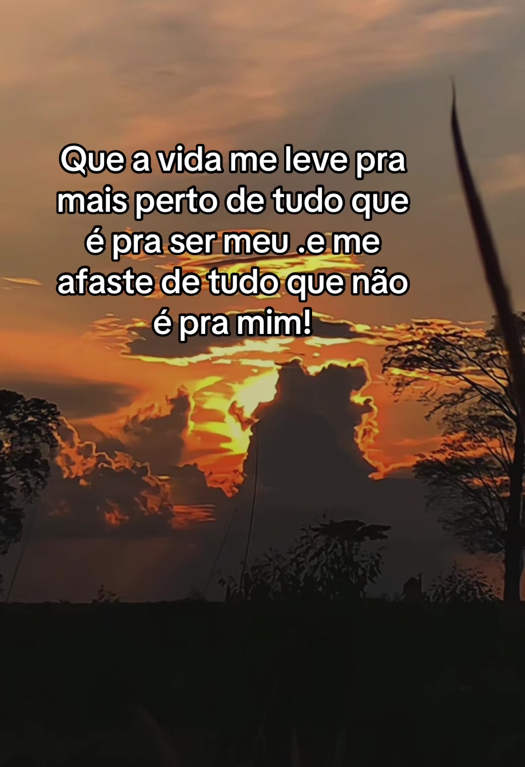 @Janeluce Souza💋