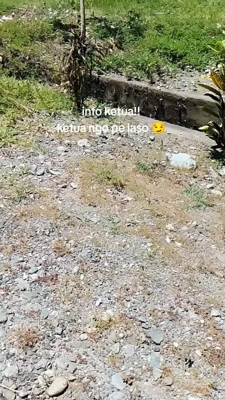 @Ownerold