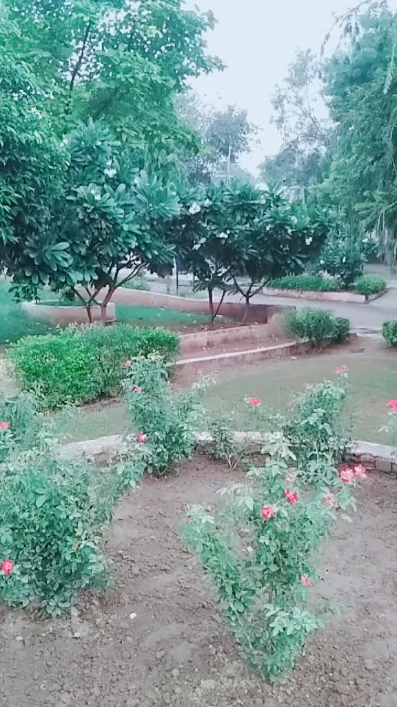 @🔥Tusharkapor02🔥