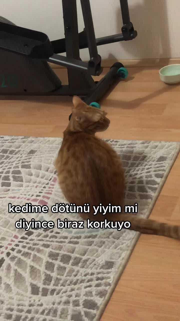 @Paşa Bebek