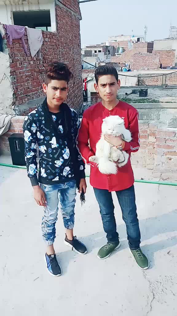 @Salman Ali