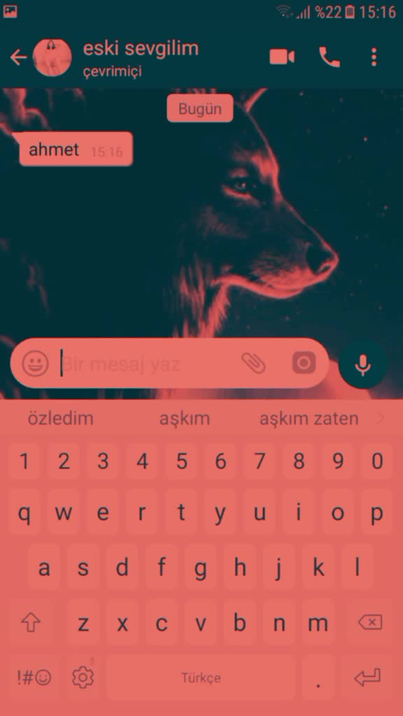 @ahmetsametkurt541