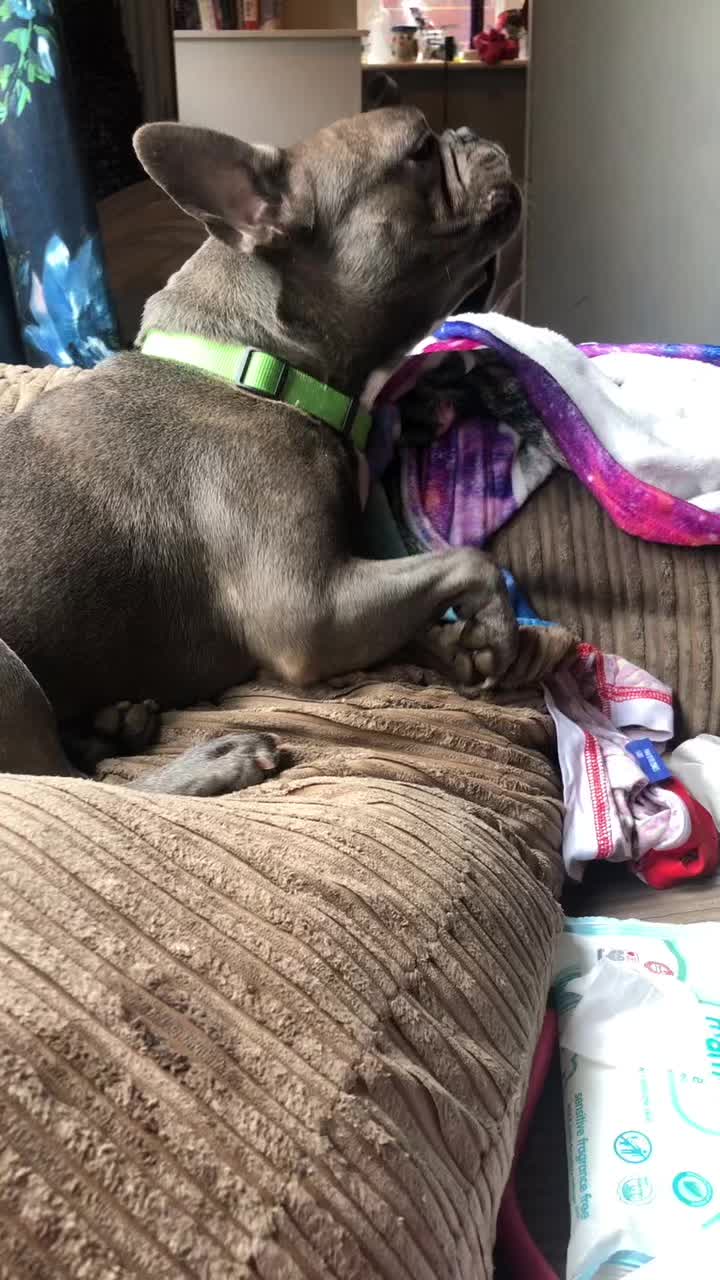 @Cat