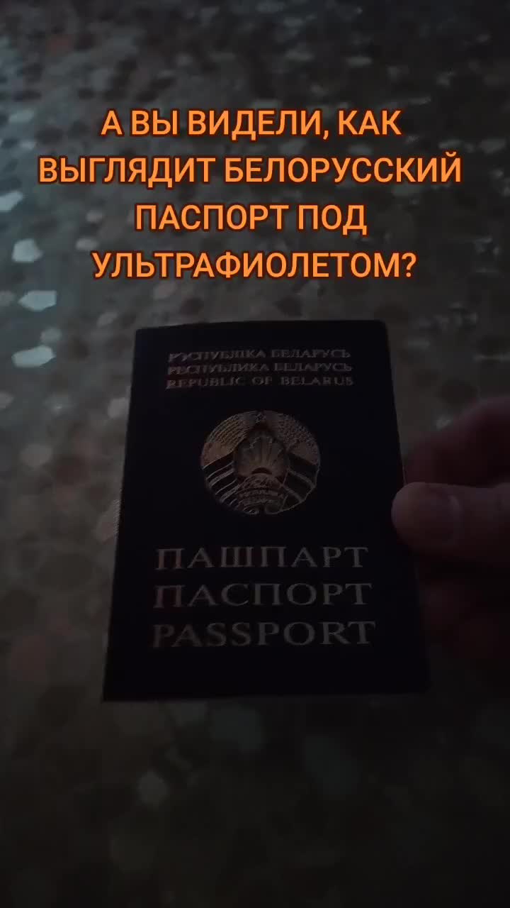 @☑️Пашина Рыбалка☑️