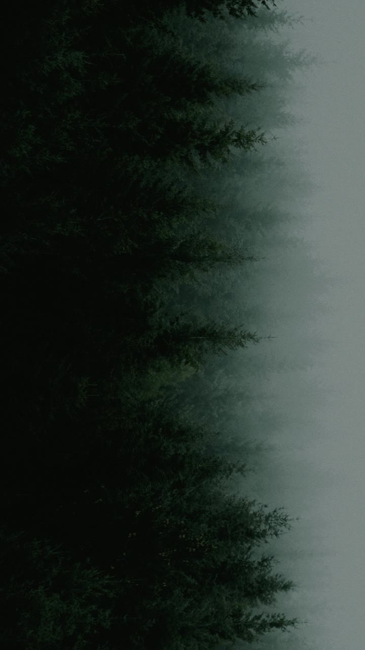 @SabalRK