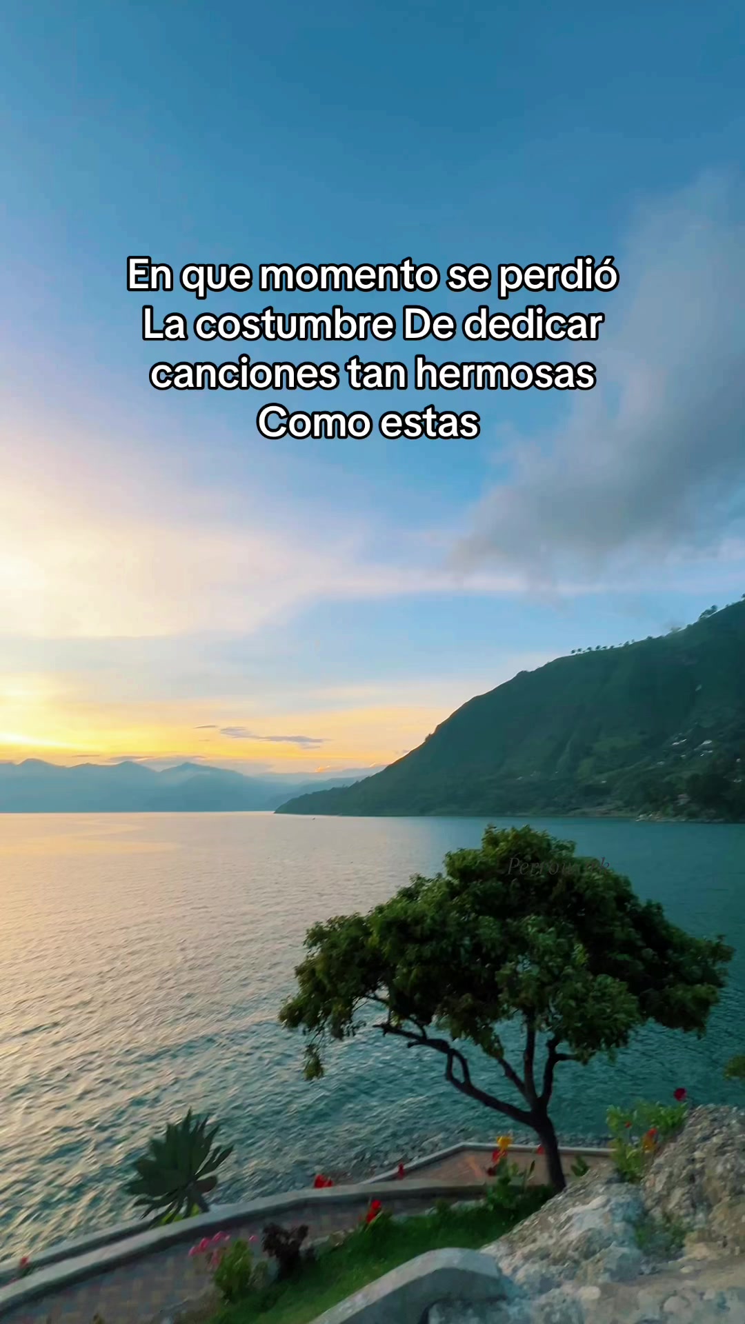 @R.Julio León 🦁 🐝