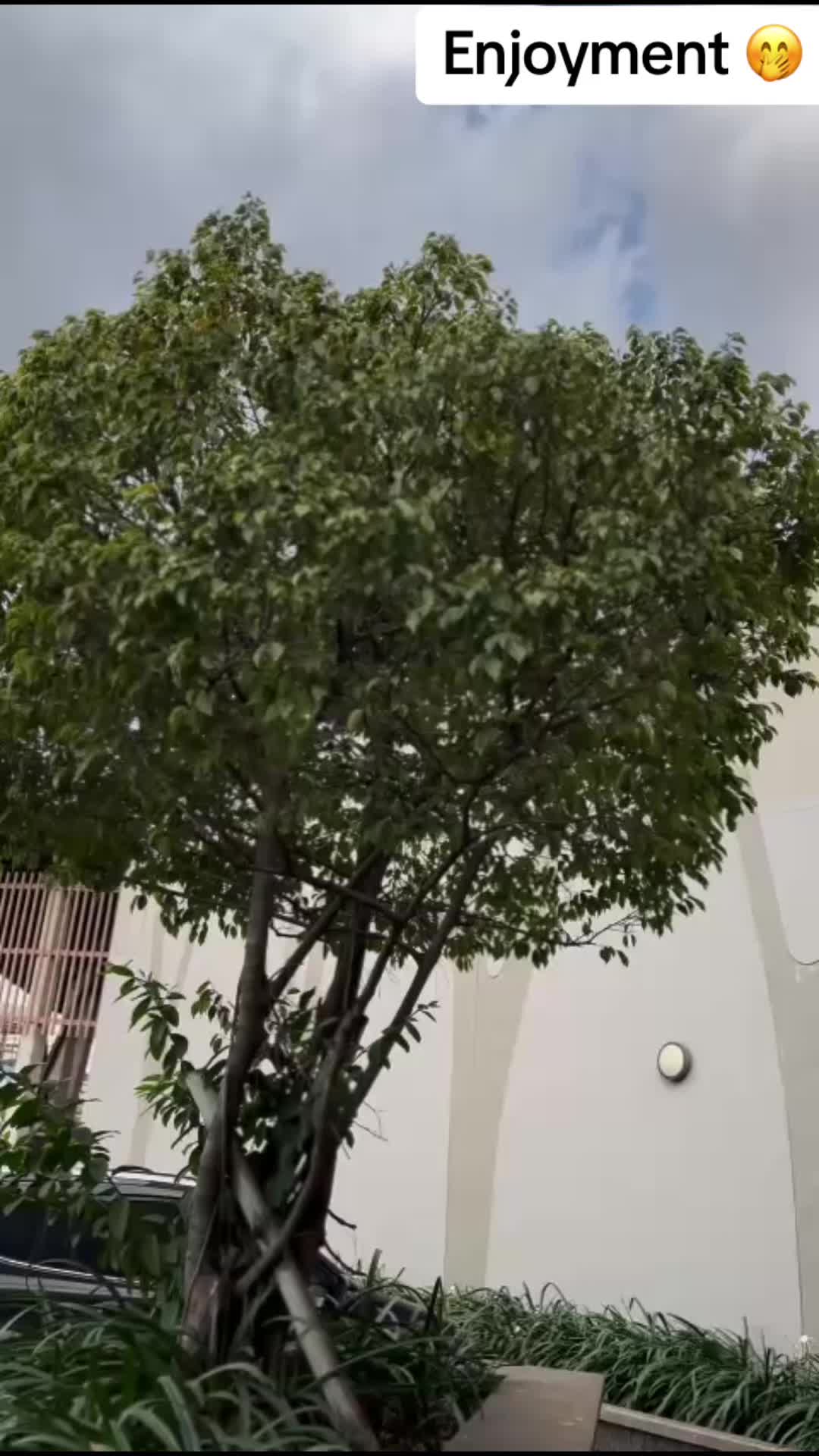 @imphorkyn7