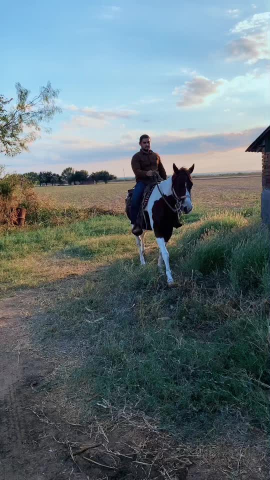 @Rodrigo Guerra