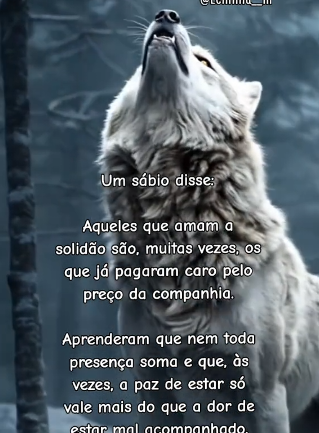 @Leninha___m