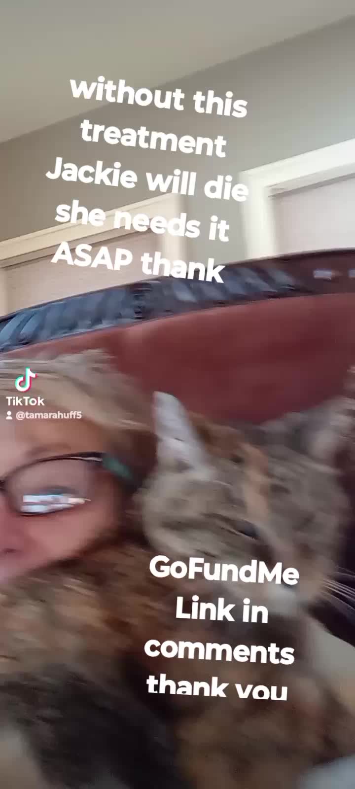@Tam
