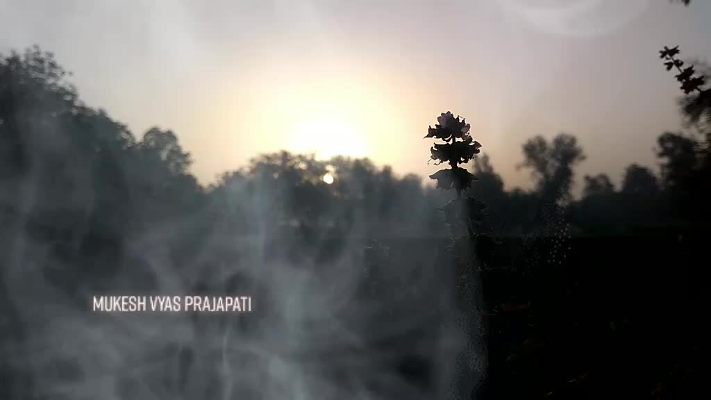 @Mukesh VyasPrajapati