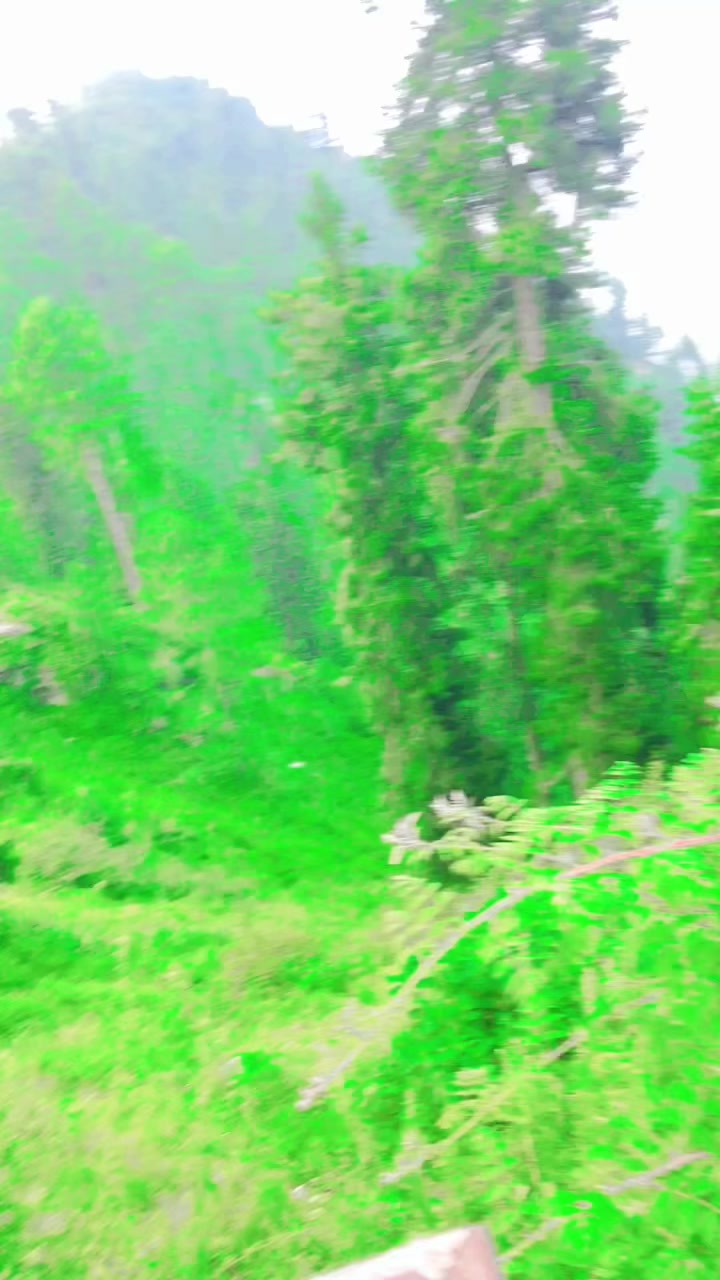 @kyrgyzstan 💁🇵🇰
