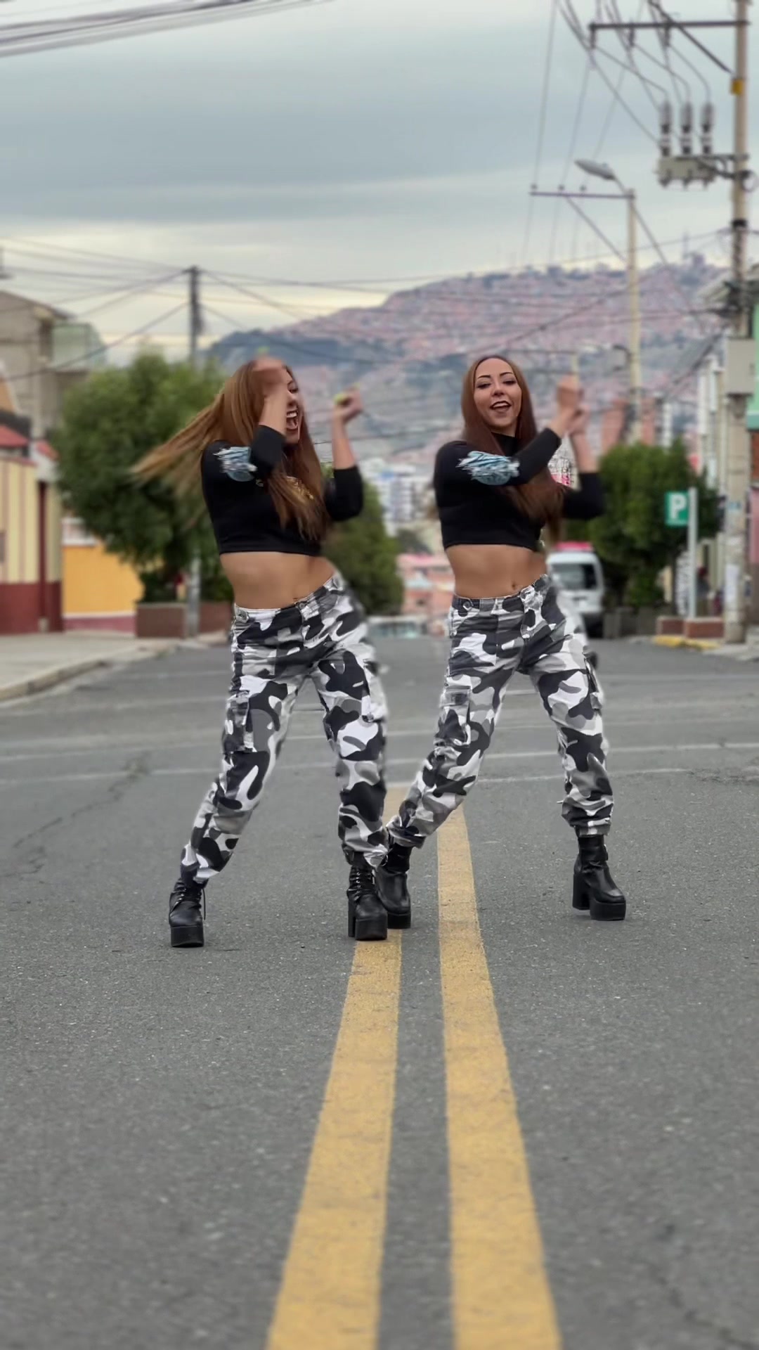 @anitas_twins