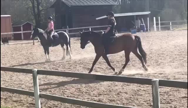 @Hus&ouml;