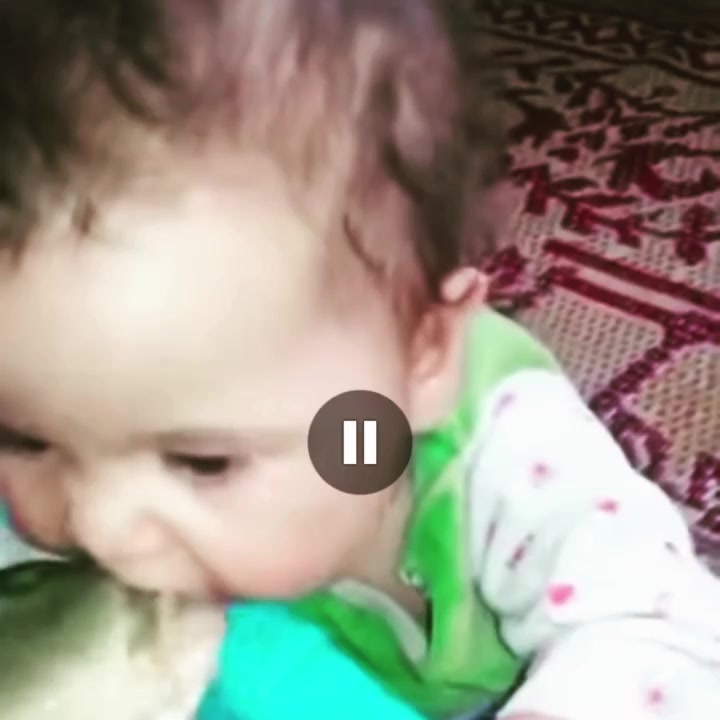@Yılmaz Balıkçılık