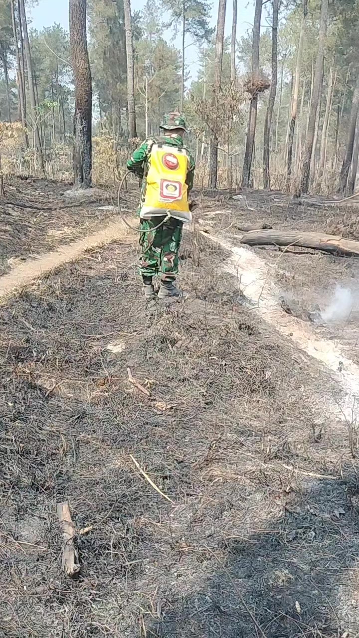 @PORTAL BABINSA