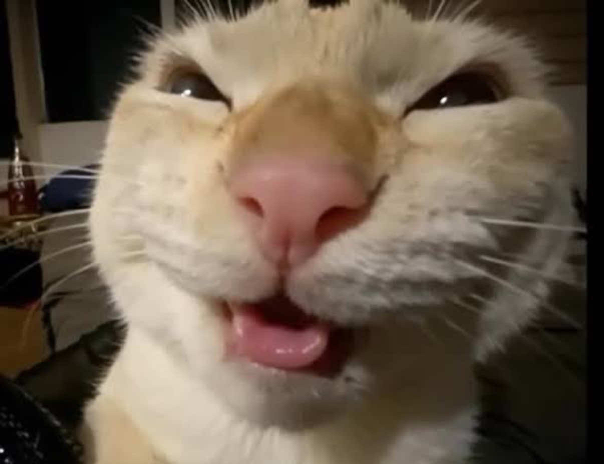 @Cōs