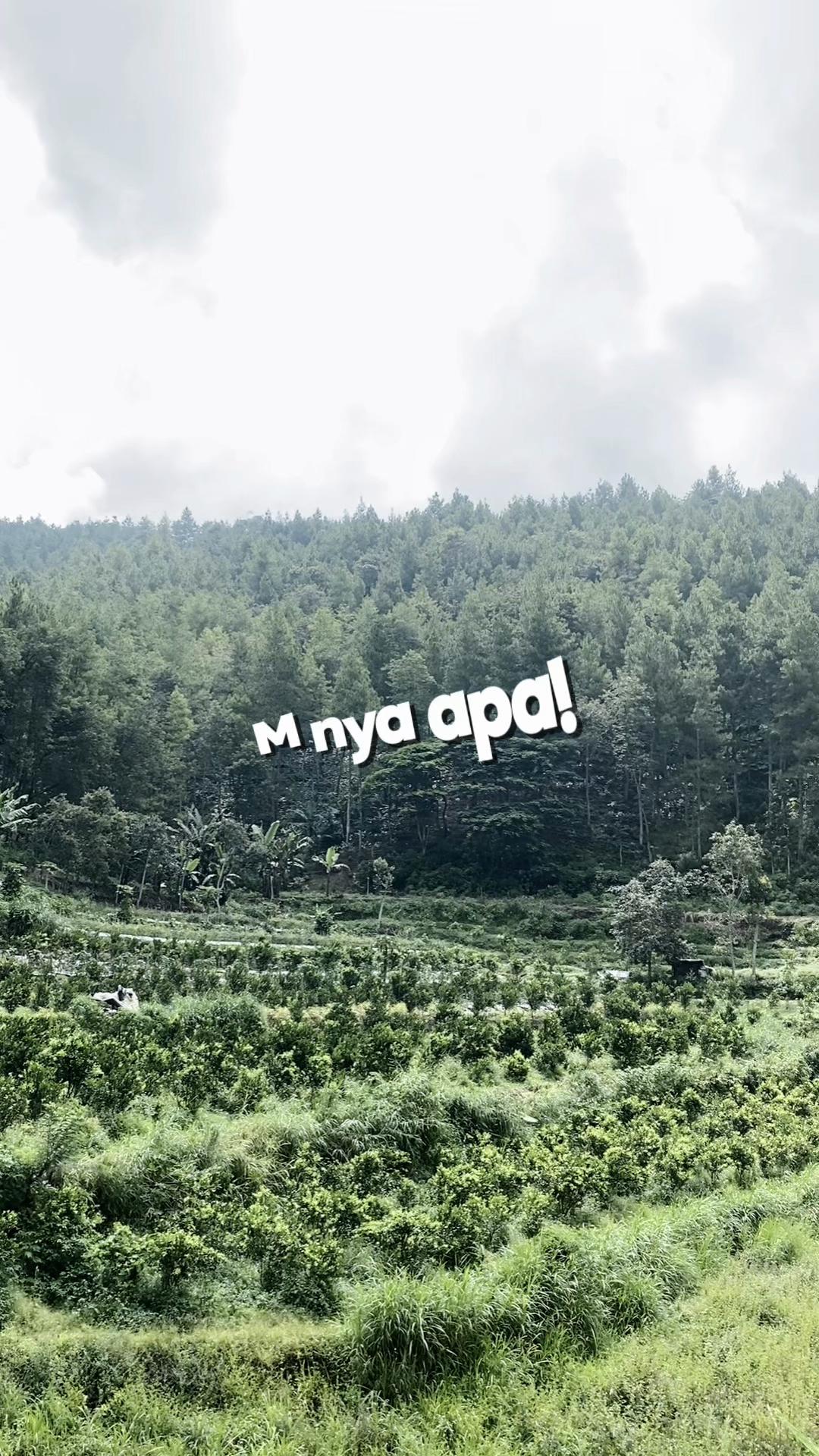 @cahya
