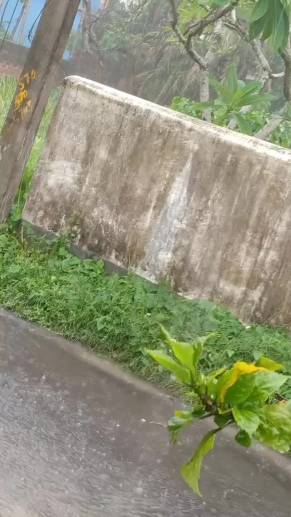 @Ahona Dutta