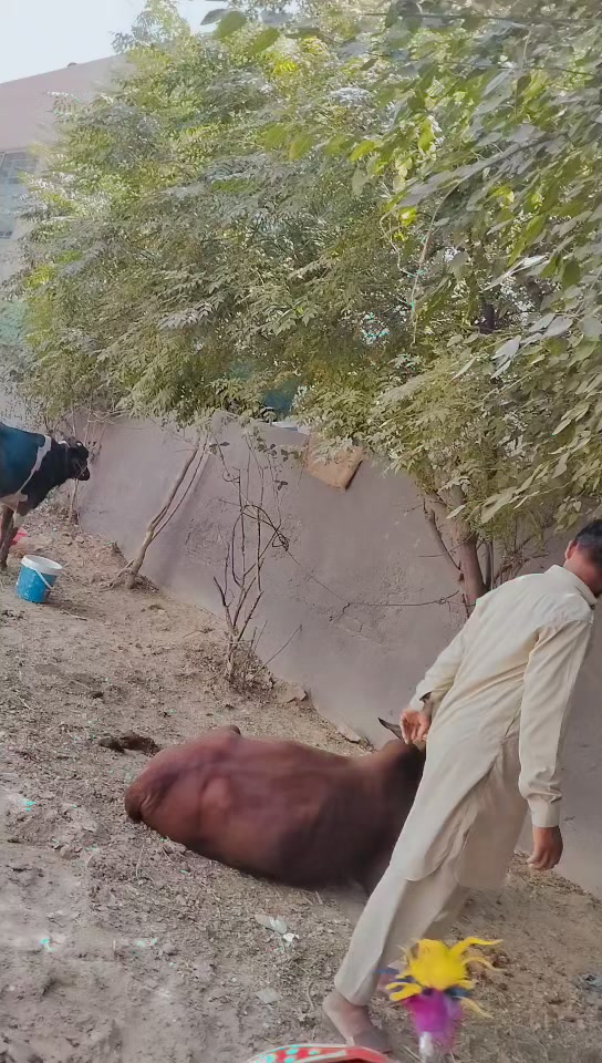 @Ustad Mato Lahoriya 1