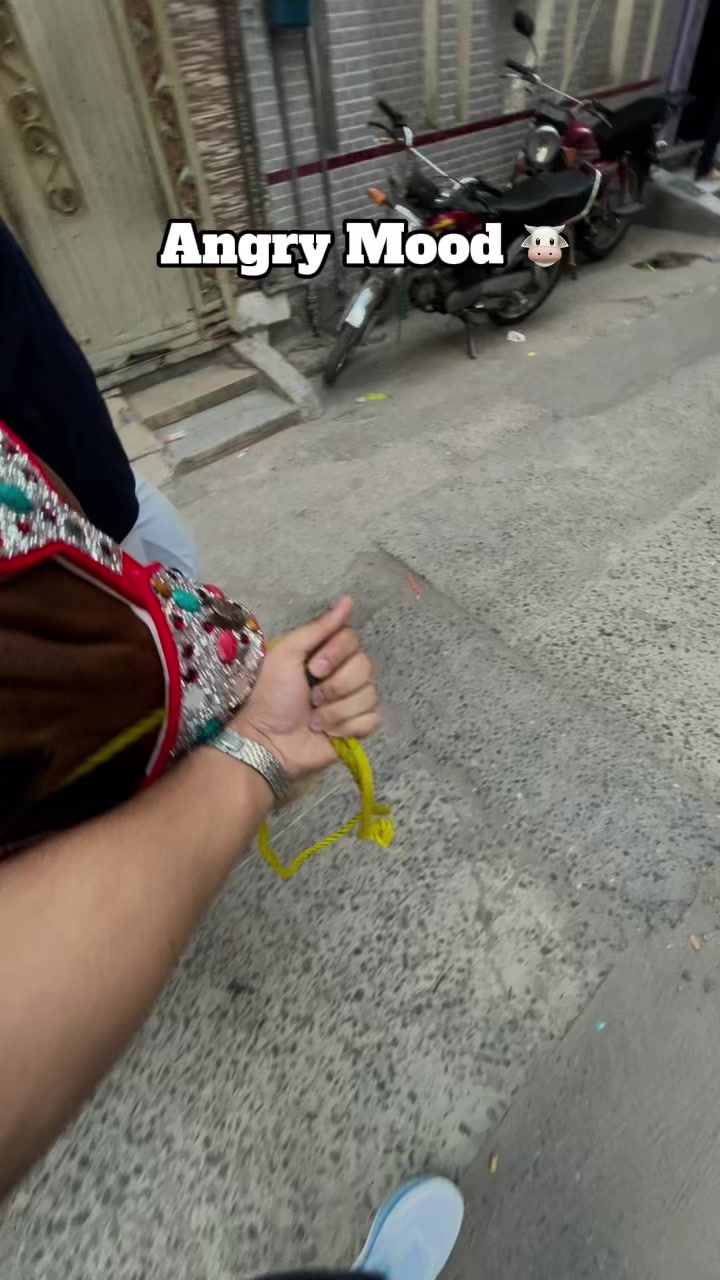 @GUجAR ⚔️🧸