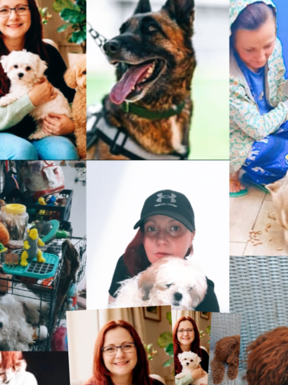 @🥎 דינה מנסור 🦮🐕🐕&zwj;🦺