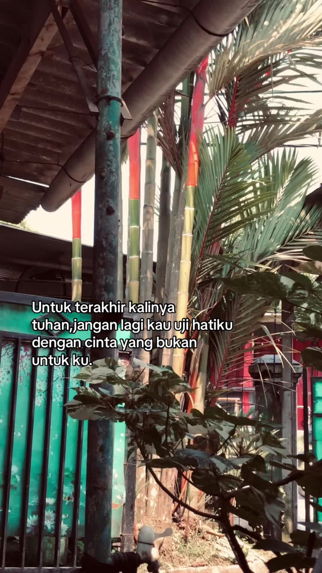 @andri💫
