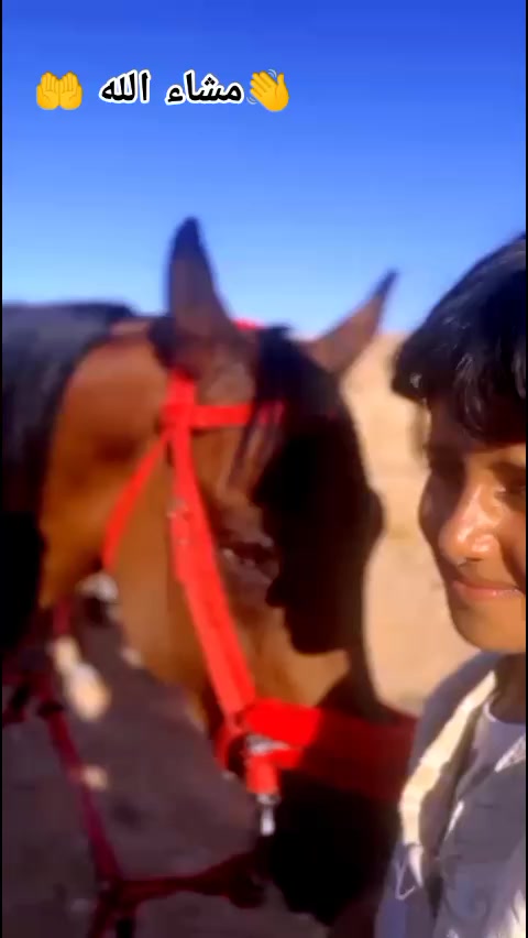 @bader ._. ❤️🔥🐴📍