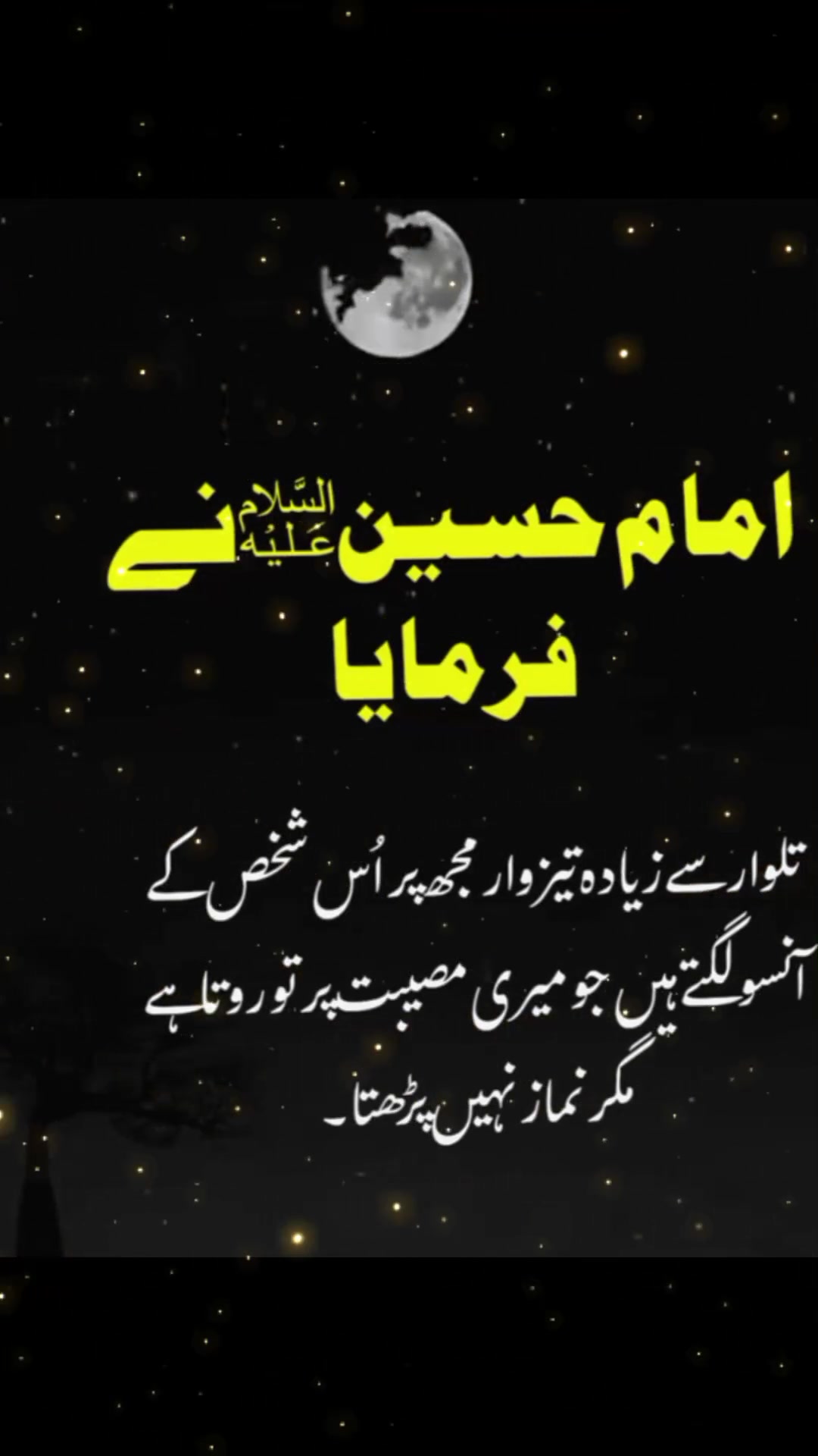 @fakhar-e-syed🚩🚩🚩🏴🏴
