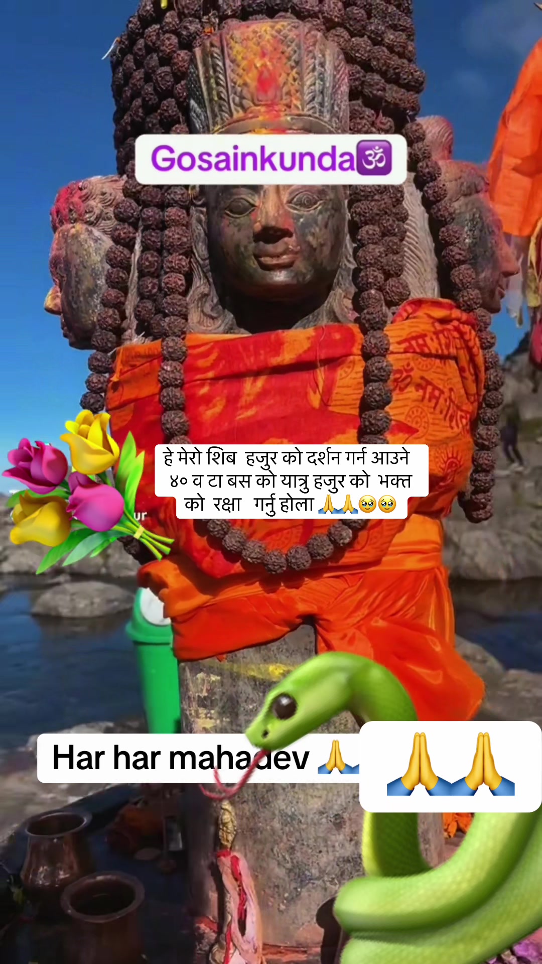 @sitashmathapa71588