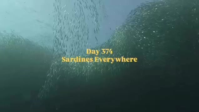 @Travel Tips and Stories