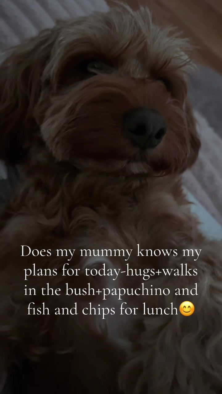 @Teddy the cutie pie
