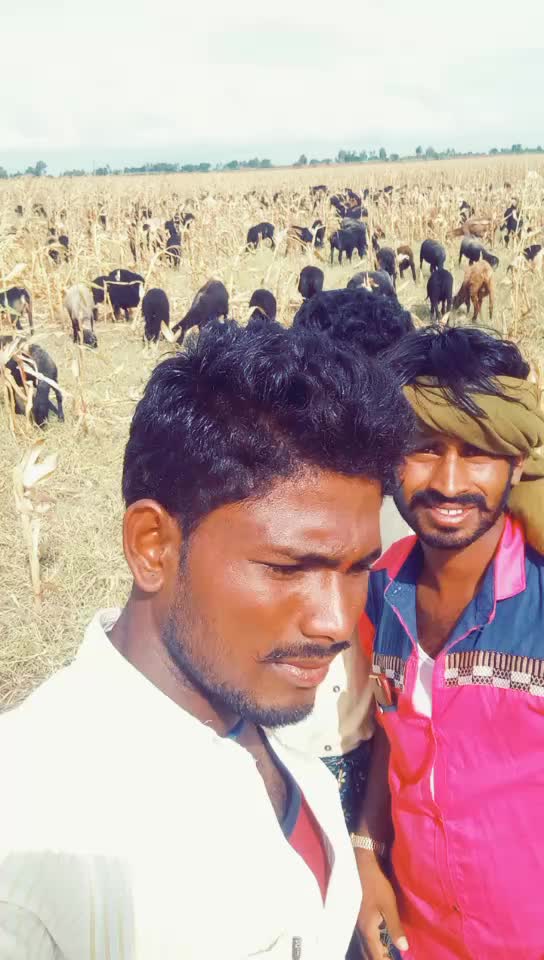 @ಕುರಿಗಾರ ಹುಡುಗ