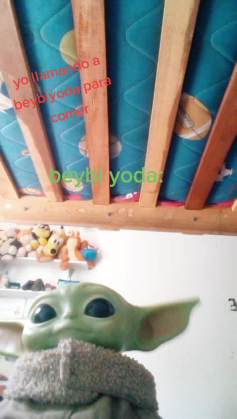 @beybi yoda❤
