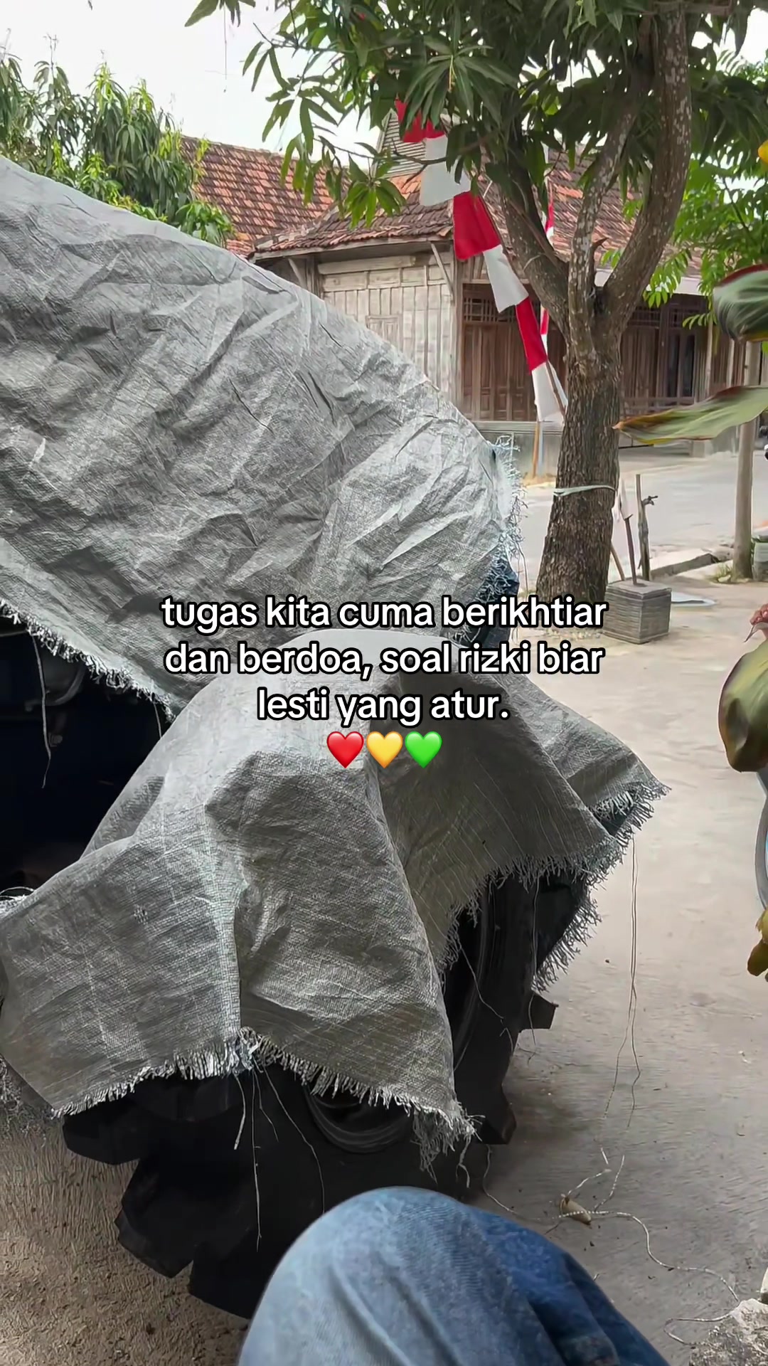 @𝙍𝙚𝙟𝙖𝙖