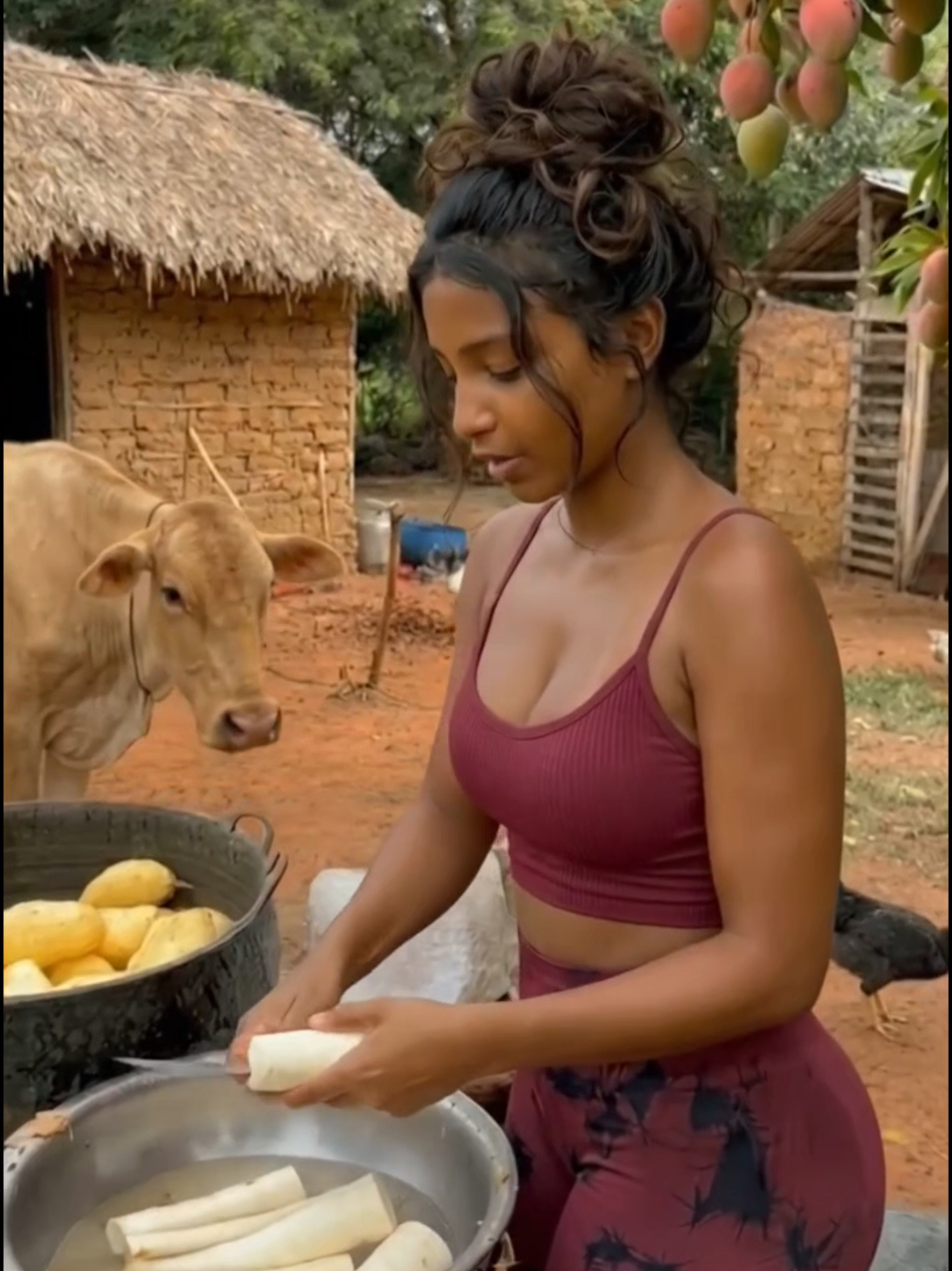 @Bruninha da Fazenda