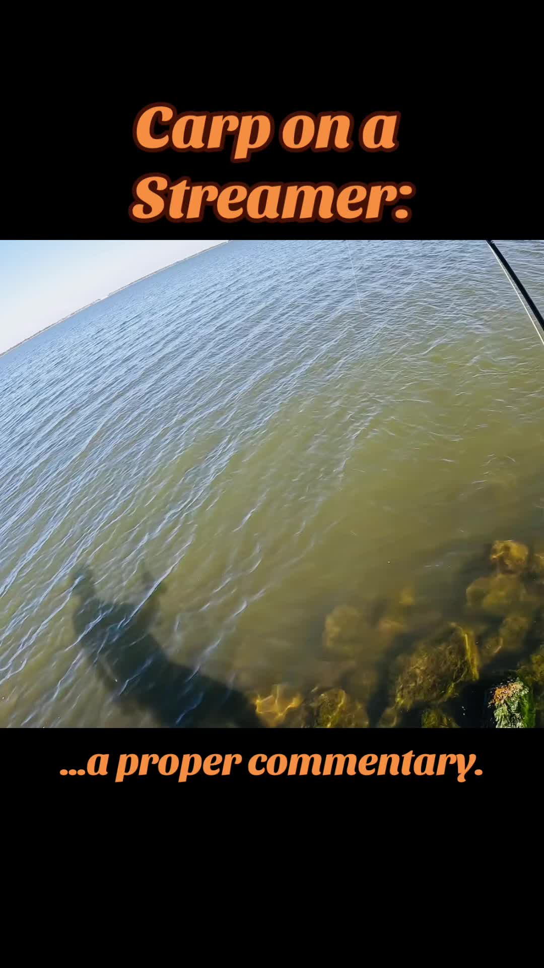 @Flyfishing_Sucks