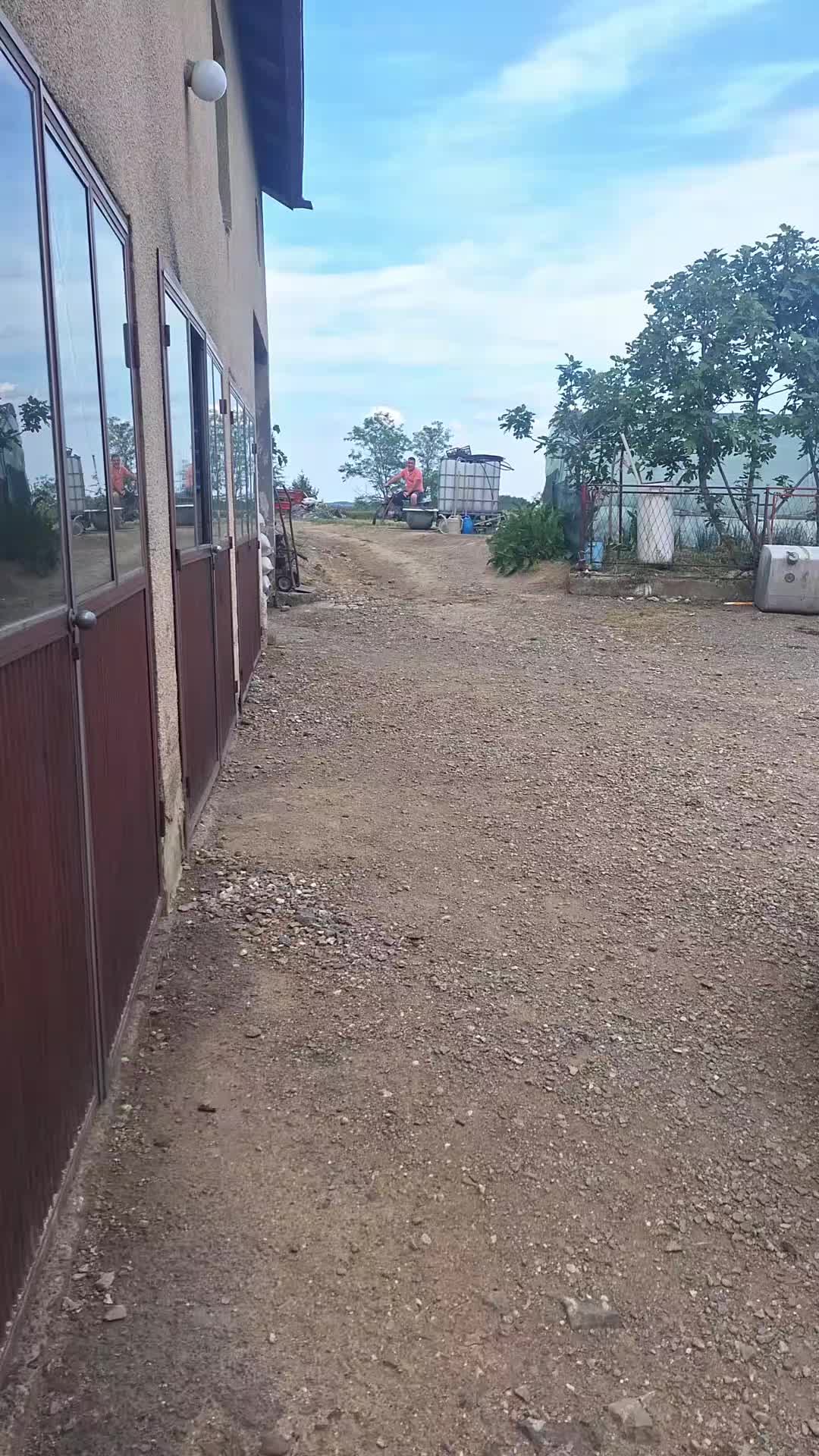 @Nikola