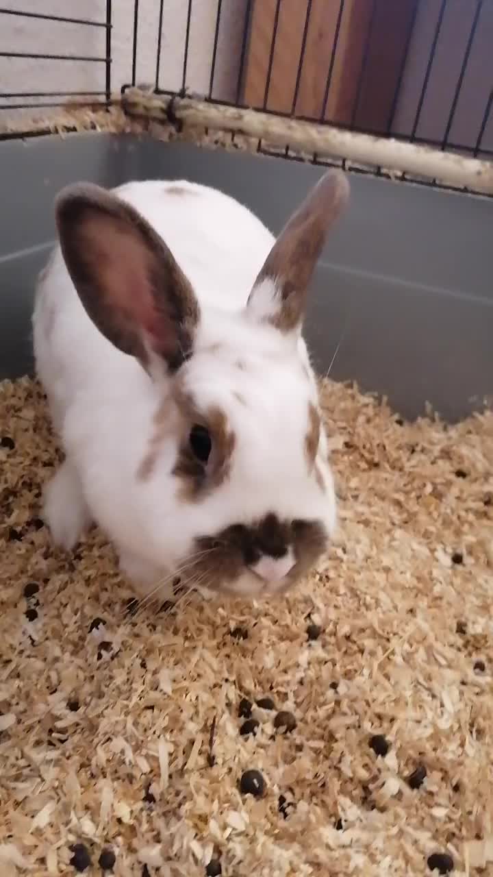 @✌︎