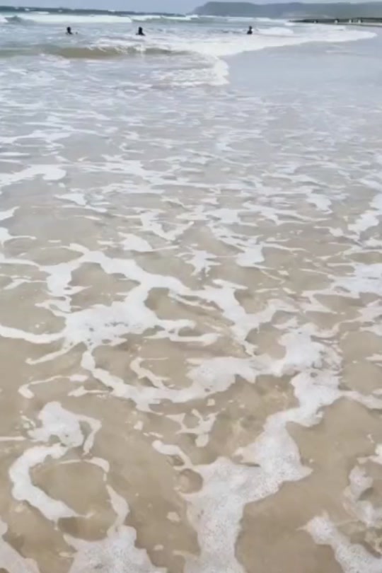 @patu.anku.maau..
