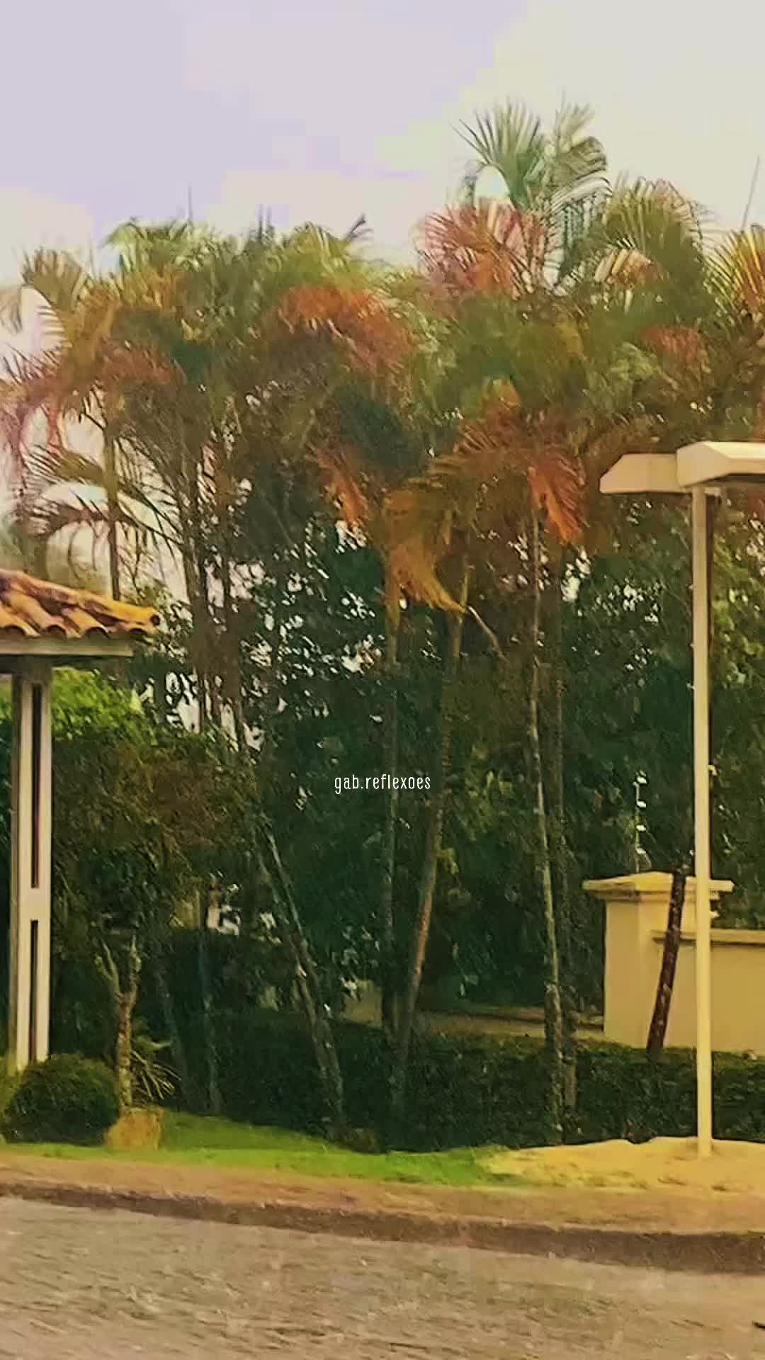 @gab.reflexoes