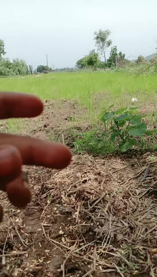 @Mahesh Yadav