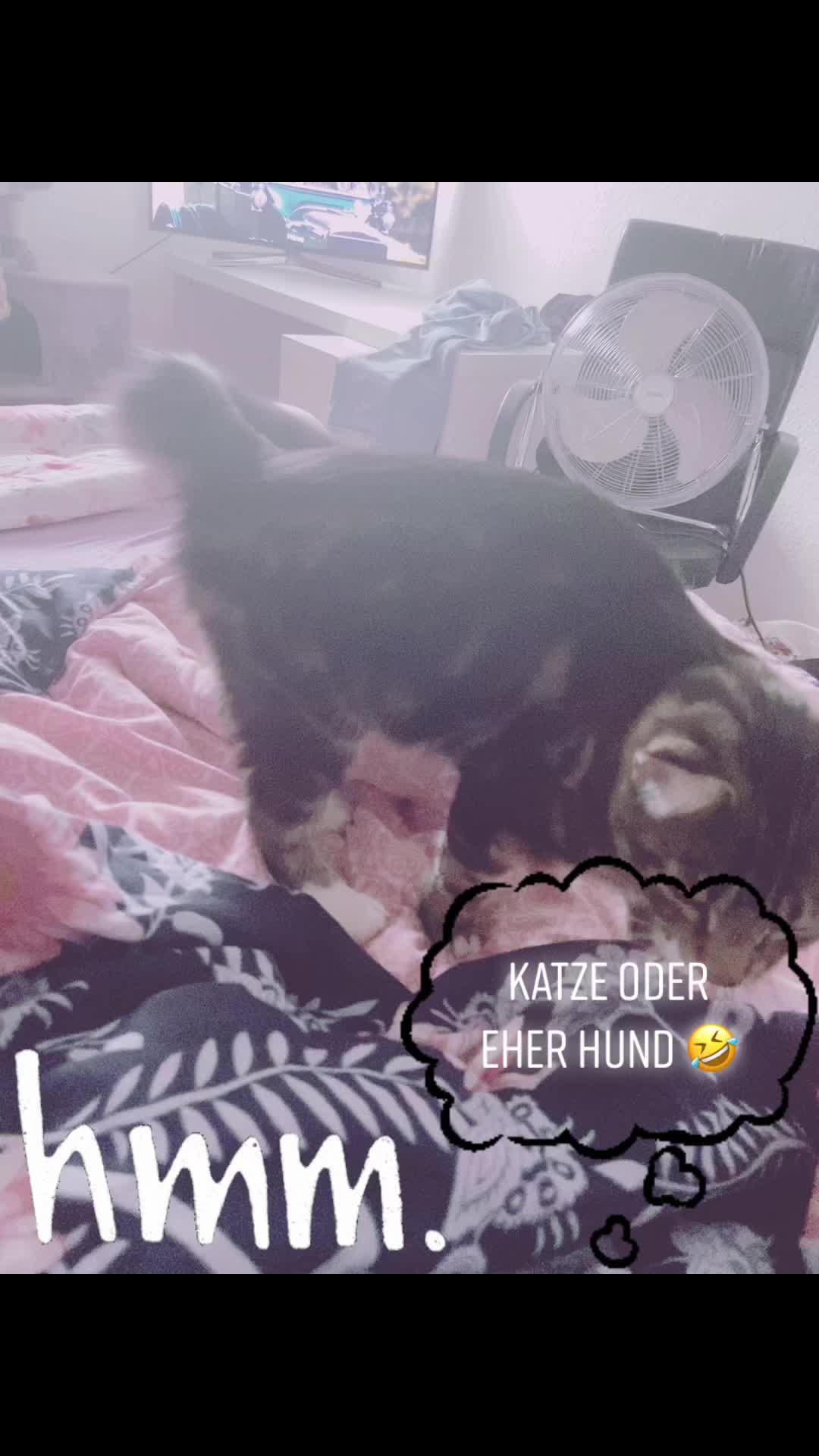 @karo_xoxo