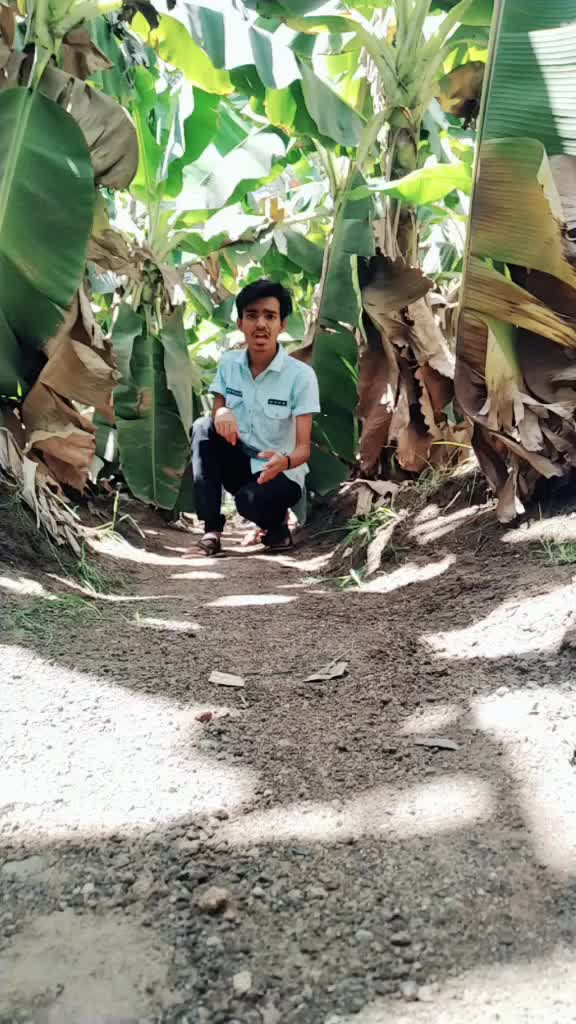 @Dharvik Beladiya